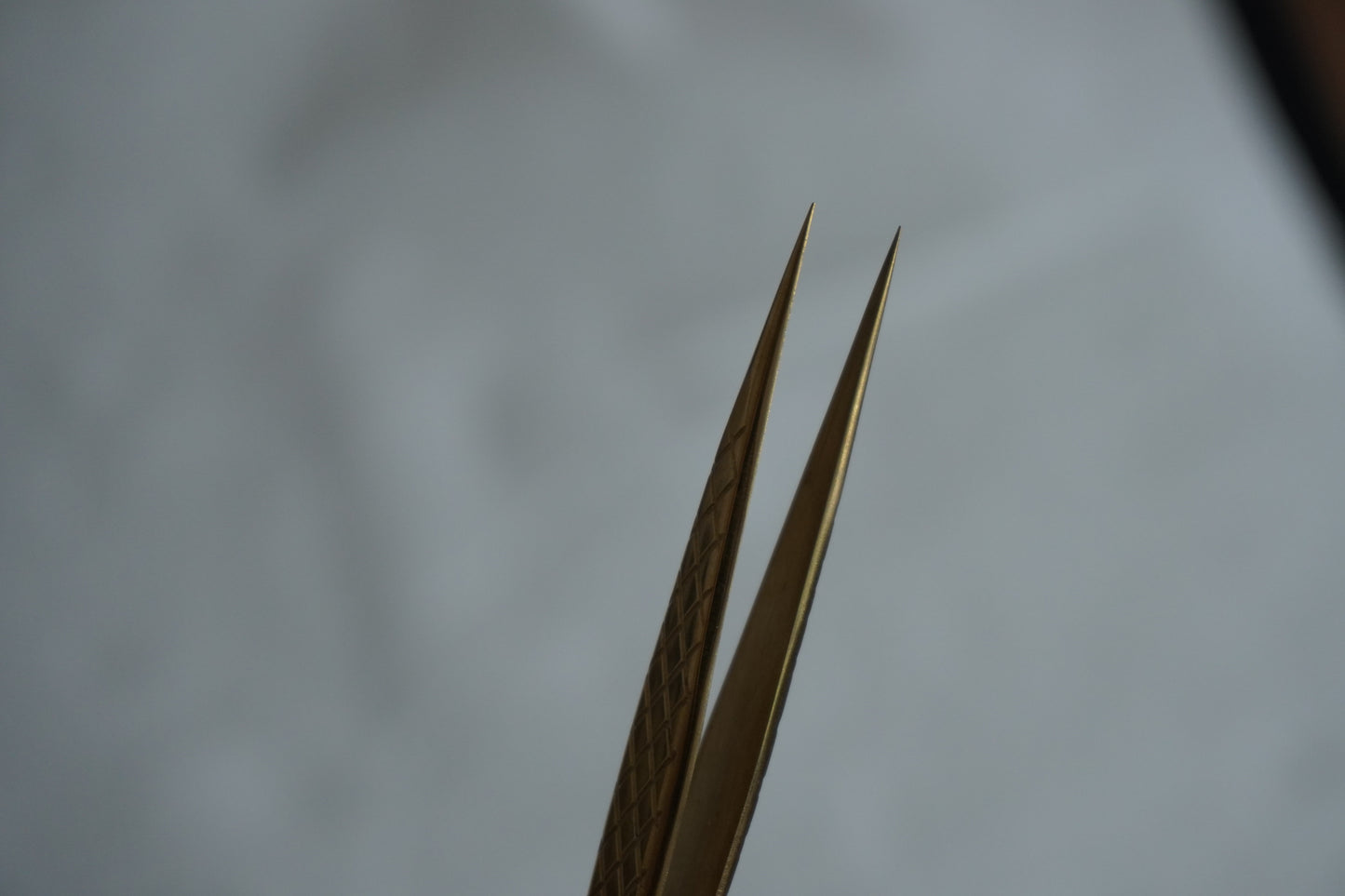 Penseta dreapta